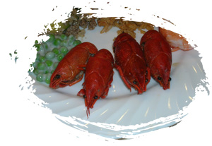 mudbugs