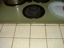 Kit1